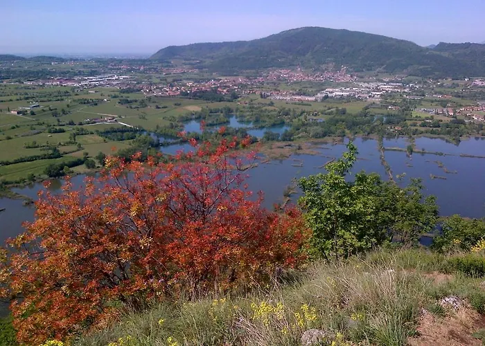 La Corte