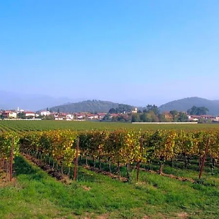 Bed & Breakfast La Corte