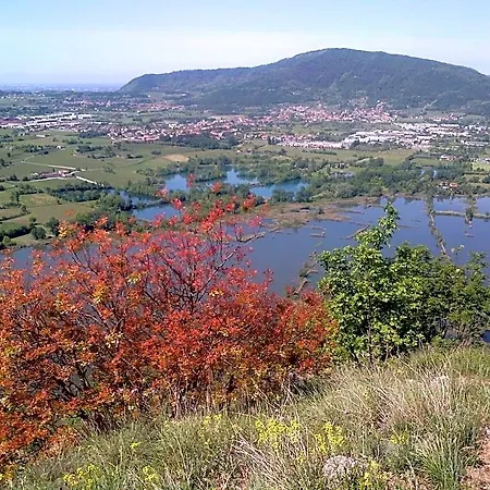La Corte