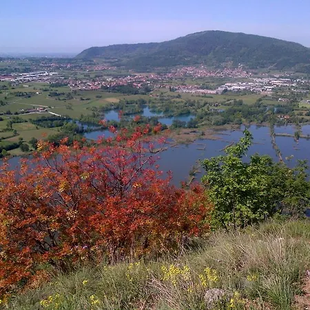 La Corte